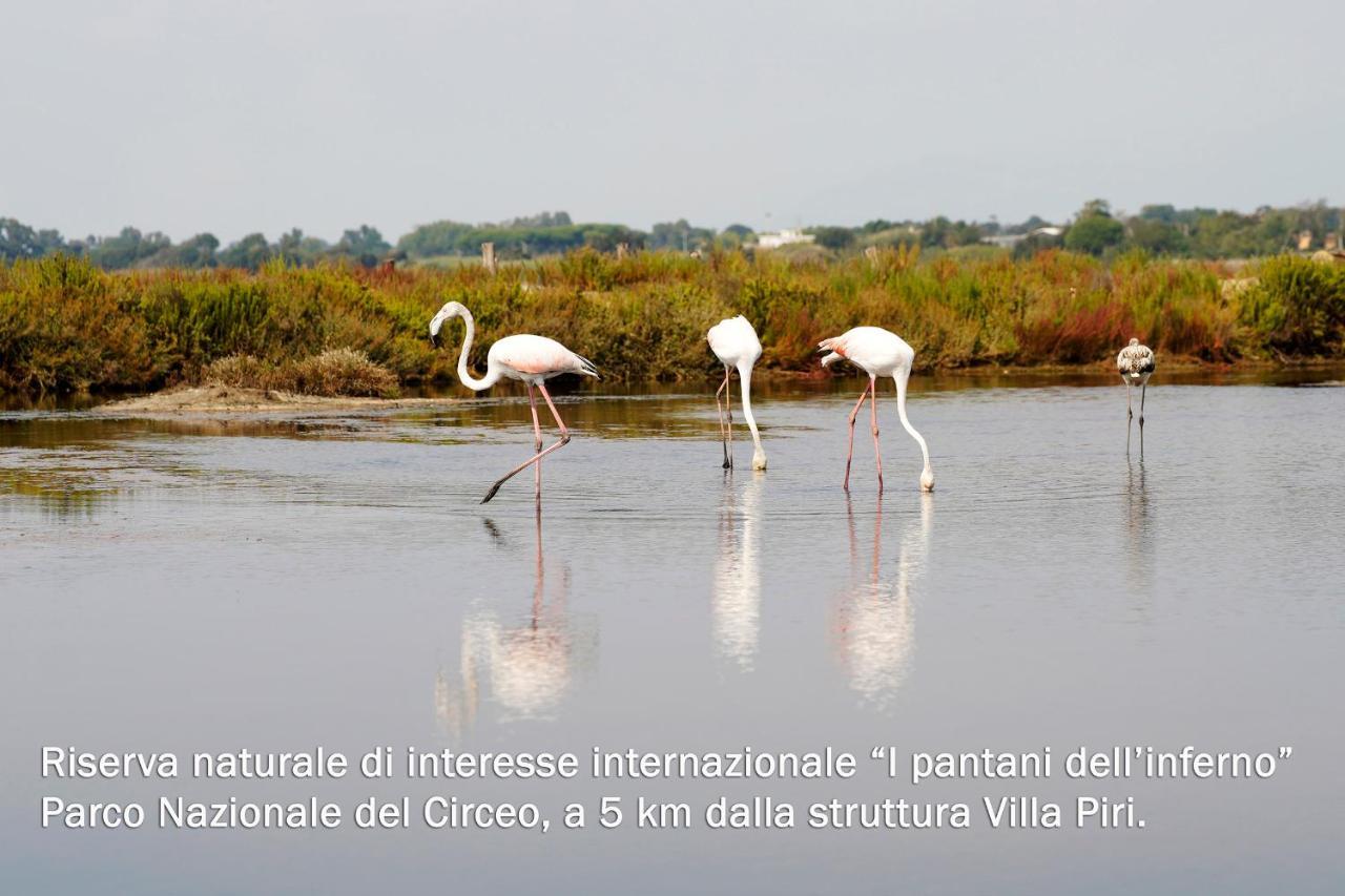Villa Piri Sabaudia Bagian luar foto